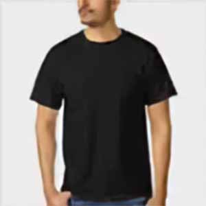 Classic T-Shirt G500