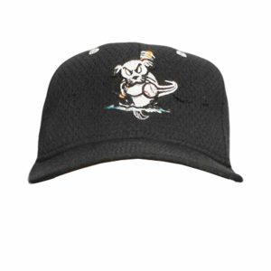 Matt Raleigh Sea Dogs Hat Matt Raleigh Sea Dogs Hat